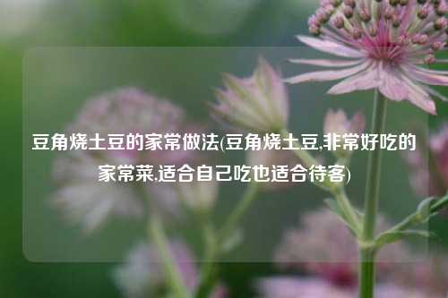 豆角烧土豆的家常做法(豆角烧土豆,非常好吃的家常菜,适合自己吃也适合待客)