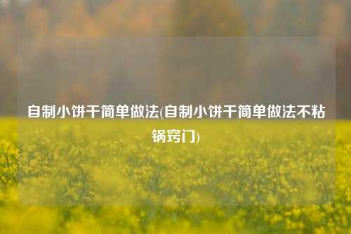 自制小饼干简单做法(自制小饼干简单做法不粘锅窍门)