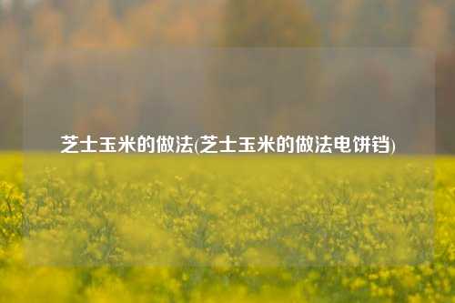 芝士玉米的做法(芝士玉米的做法电饼铛)
