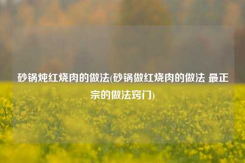 砂锅炖红烧肉的做法(砂锅做红烧肉的做法 最正宗的做法窍门)