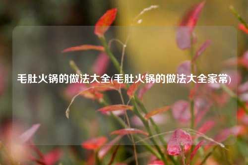 毛肚火锅的做法大全(毛肚火锅的做法大全家常)