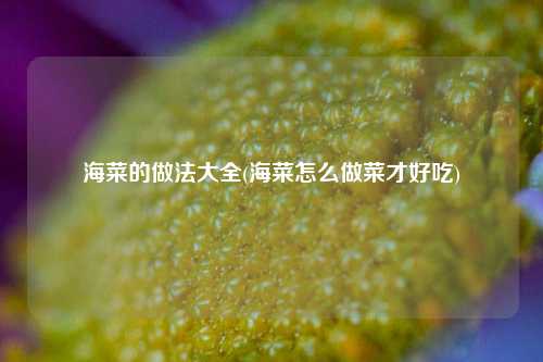 海菜的做法大全(海菜怎么做菜才好吃)