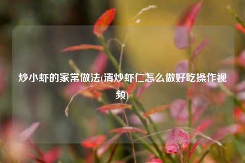 炒小虾的家常做法(清炒虾仁怎么做好吃操作视频)