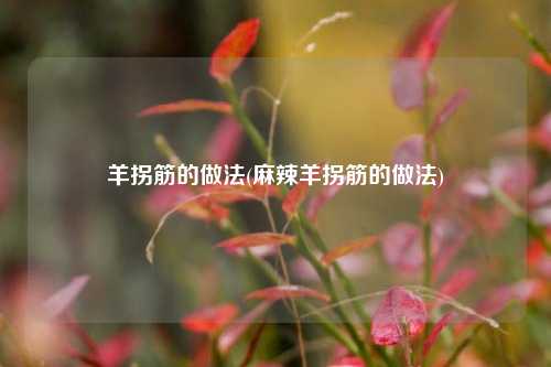 羊拐筋的做法(麻辣羊拐筋的做法)