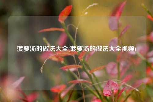 菠萝汤的做法大全(菠萝汤的做法大全视频)