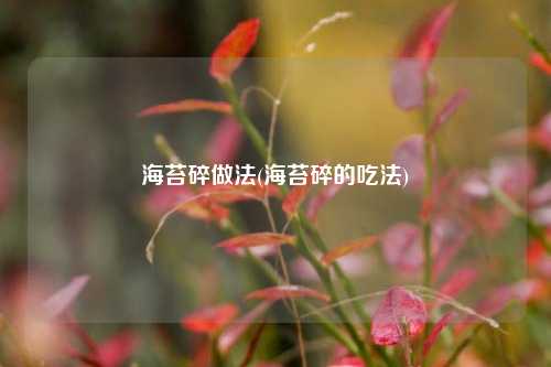 海苔碎做法(海苔碎的吃法)
