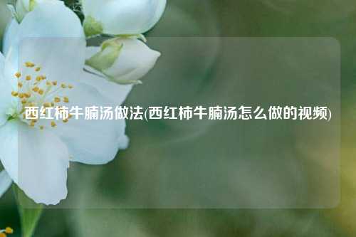 西红柿牛腩汤做法(西红柿牛腩汤怎么做的视频)