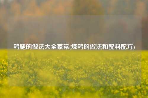 鸭腿的做法大全家常(烧鸭的做法和配料配方)
