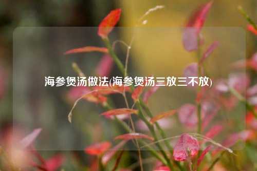 海参煲汤做法(海参煲汤三放三不放)