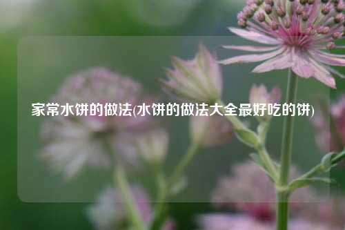 家常水饼的做法(水饼的做法大全最好吃的饼)