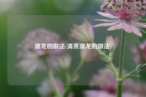 澳龙的做法(清蒸澳龙的做法)