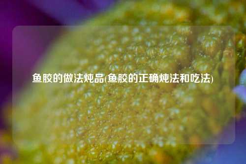 鱼胶的做法炖品(鱼胶的正确炖法和吃法)