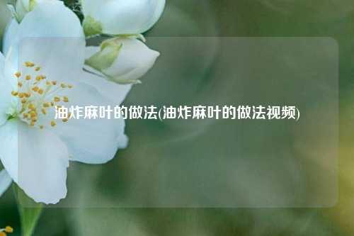 油炸麻叶的做法(油炸麻叶的做法视频)