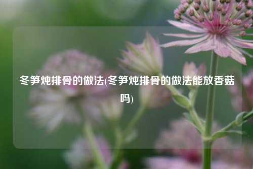 冬笋炖排骨的做法(冬笋炖排骨的做法能放香菇吗)